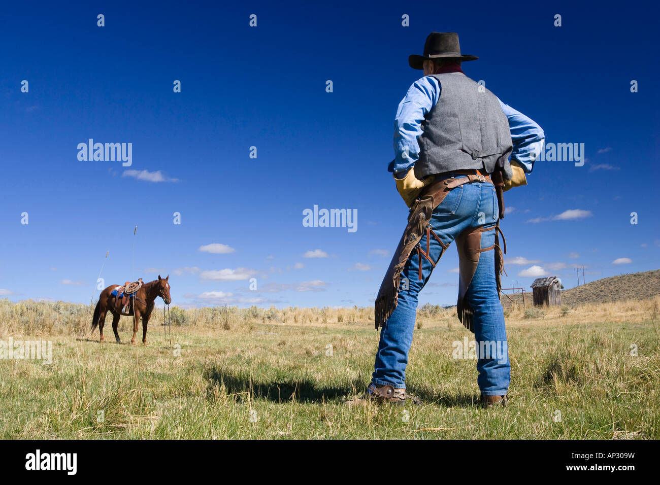 Cowboy with horse, wild west, Oregon, USA Stock Photo Alamy