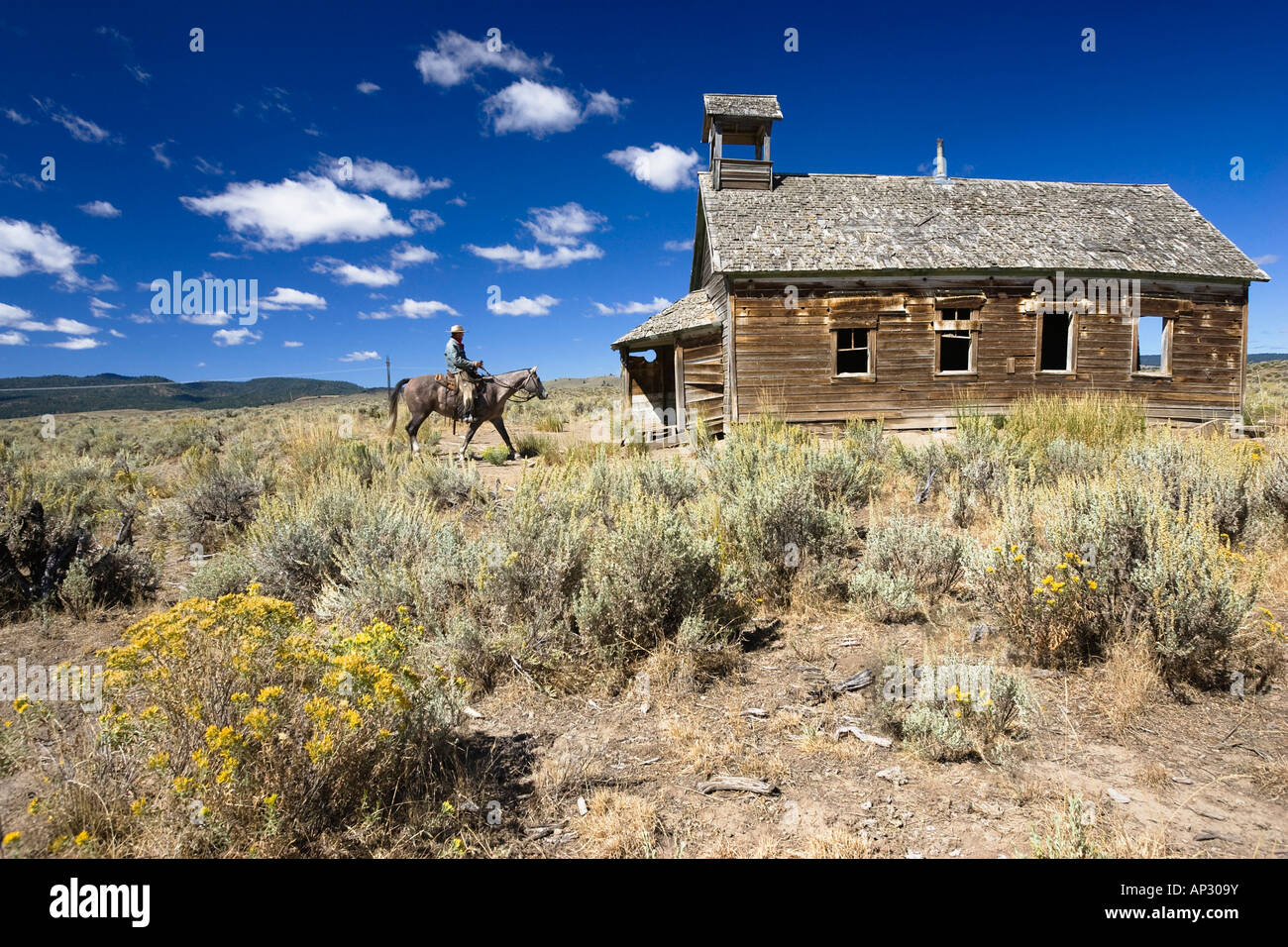 Cowboy with horse at old schoolhouse, wildwest, Oregon, USA Stock Photo