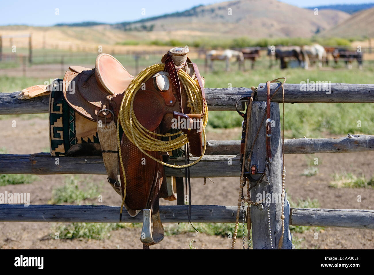 saddle on paddock fence, wildwest, Oregon, USA Stock Photo