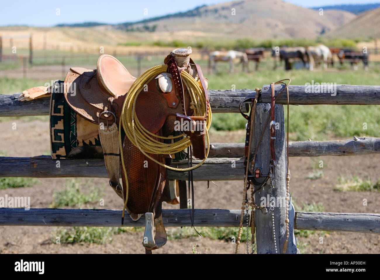 saddle on paddock fence, wildwest, Oregon, USA Stock Photo - Alamy