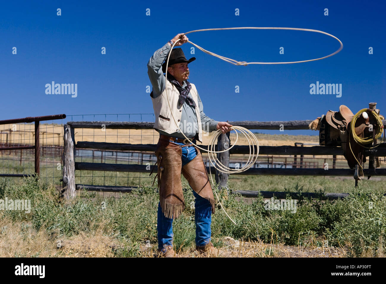 Cowboy throwing lasso hi-res stock photography and images - Alamy