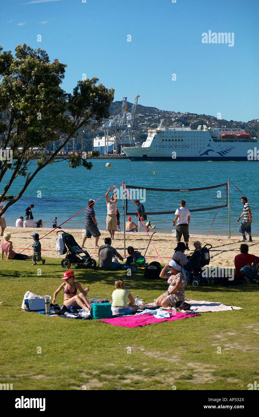 Beach at Oriental Parade, playground, beach boulevard at the harbour (ferry leaves for the South Island). Wellington, North Isla Stock Photo