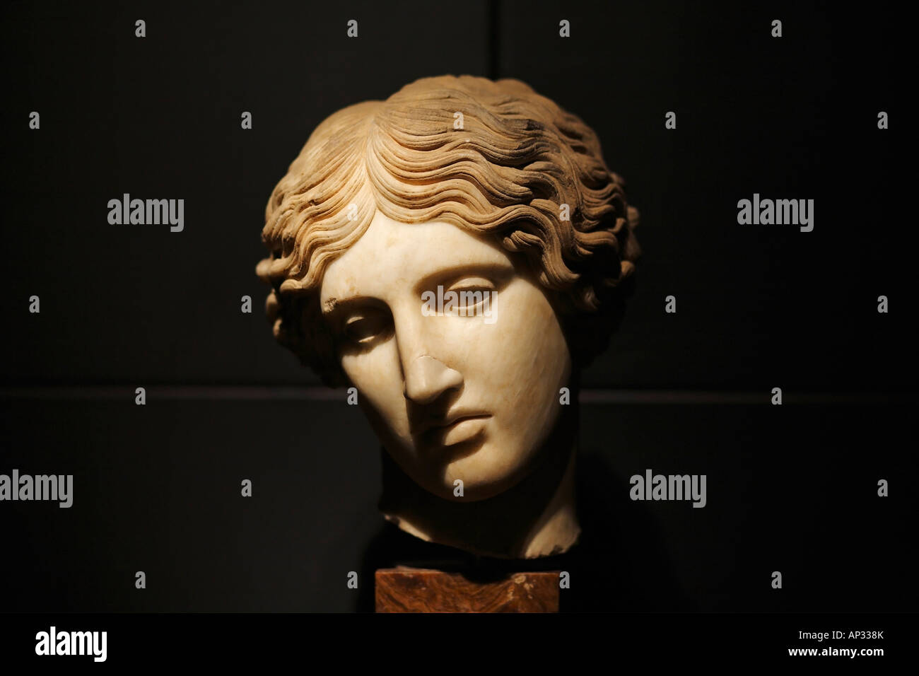 Head of an Amazon, Capitoline Museum, Musei Capitolini, Rome, Italy