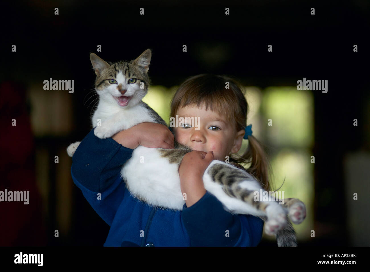 Girl huggling cat, staying at Rowendale Homestead farm, B & B, Okains Bay Bank`s Peninsula, east coast, South Island, New Zealan Stock Photo