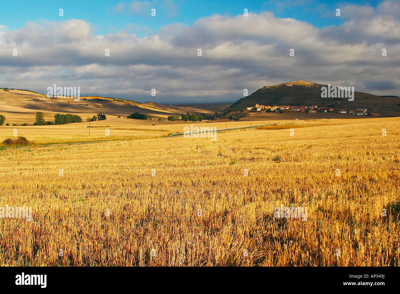 Stubble fields with village in background, Ibrillos, near Belorado, Castilla Leon, Spain Stock Photo