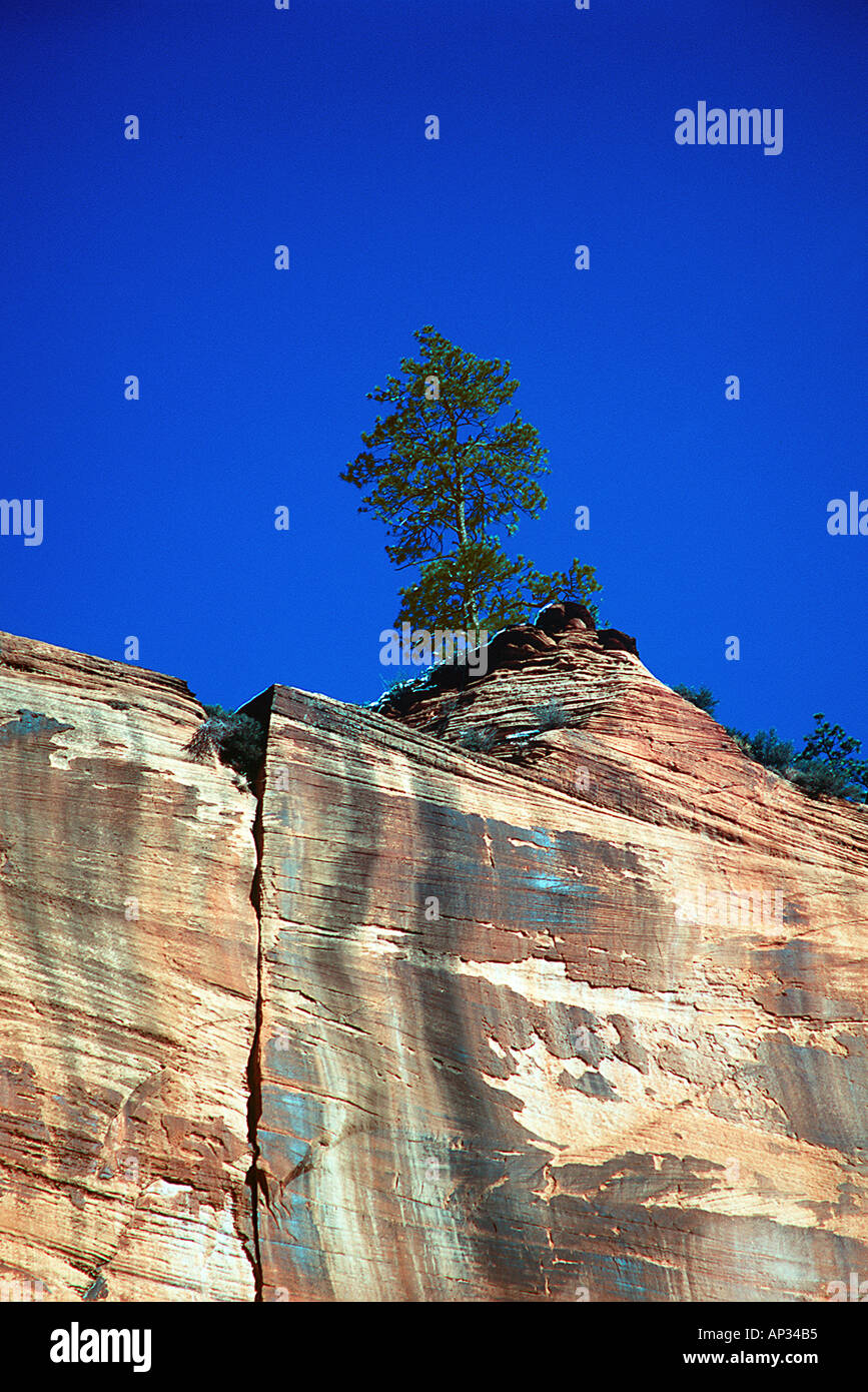 Hoc0047 hi-res stock photography and images - Alamy