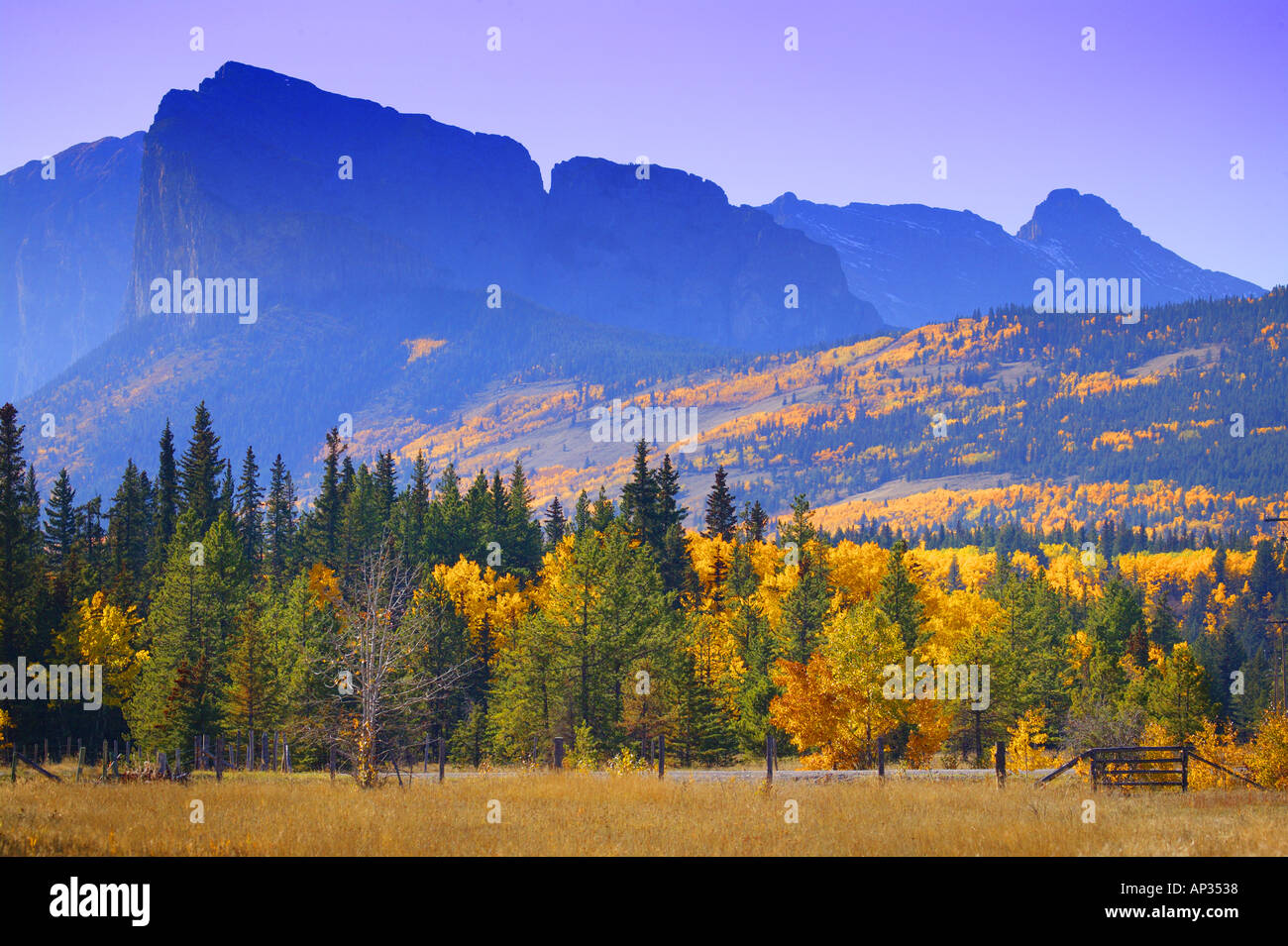 Scenic mountain view autumn trees hi-res stock photography and images ...