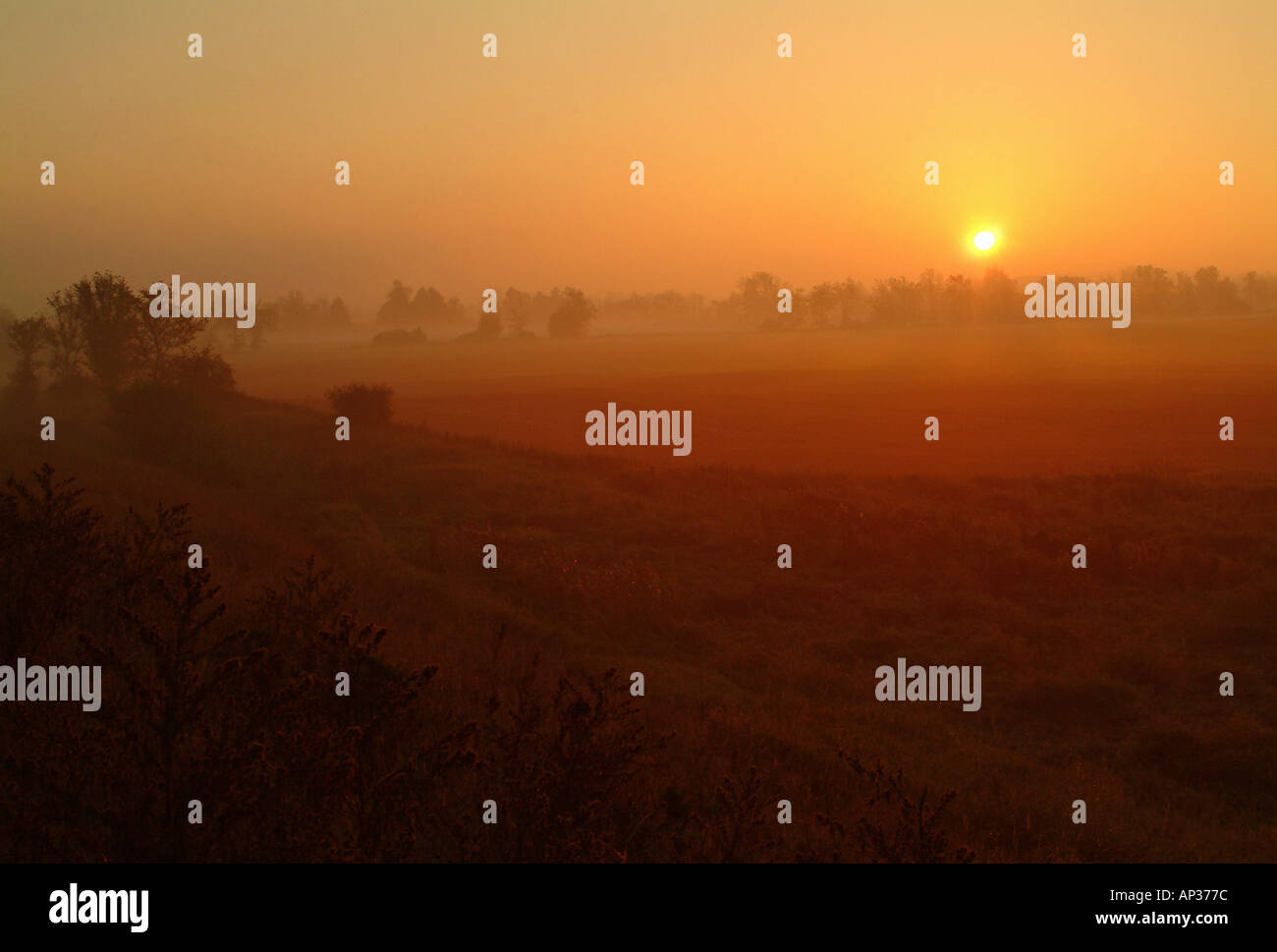 Sunrise over countryside field hi-res stock photography and images - Alamy