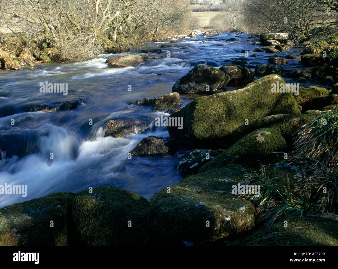 DARTMOOR. DEVON. ENGLAND Stock Photo Alamy