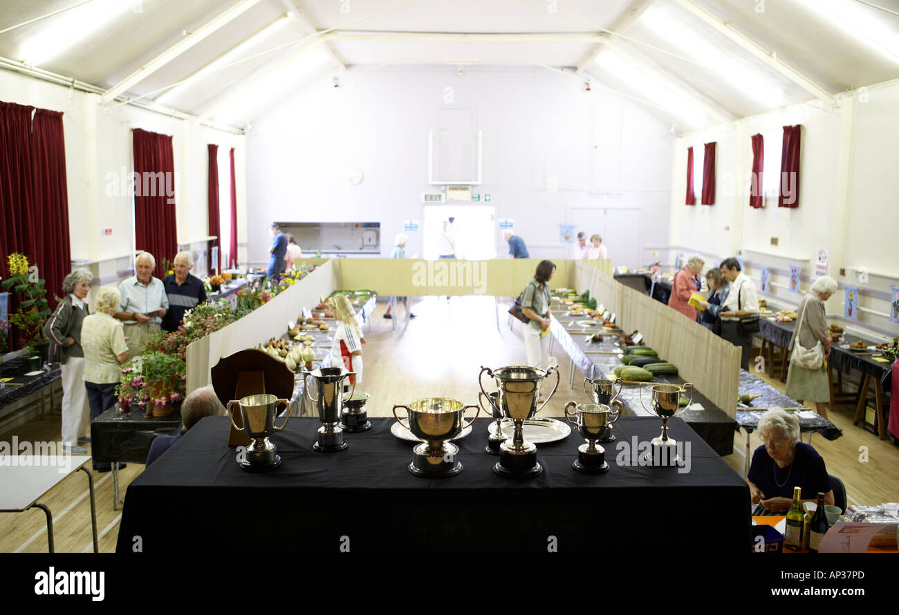 Village horticultural show Row of trophies to be awarded Stock Photo