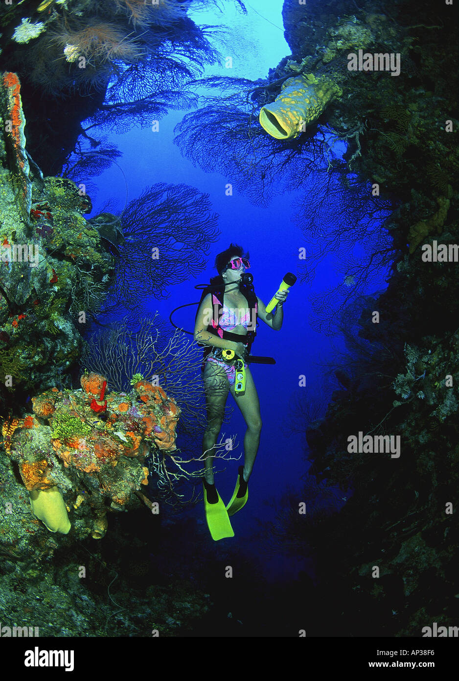 Female scuba diver hi-res stock photography and images - Alamy