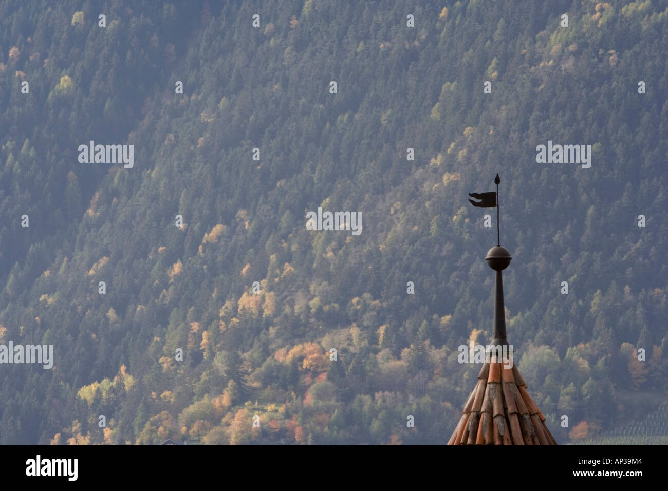 Weathervane on top of castel turret in forested valley Stock Photo