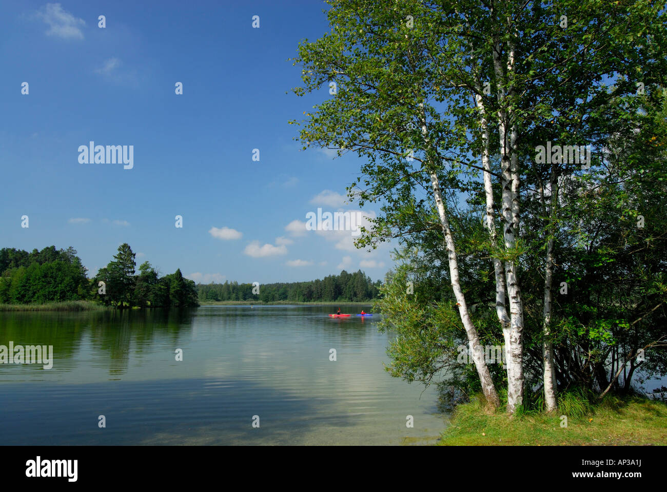 two kayakers on lake Fohnsee, Osterseen, Upper Bavaria, Bavaria ...