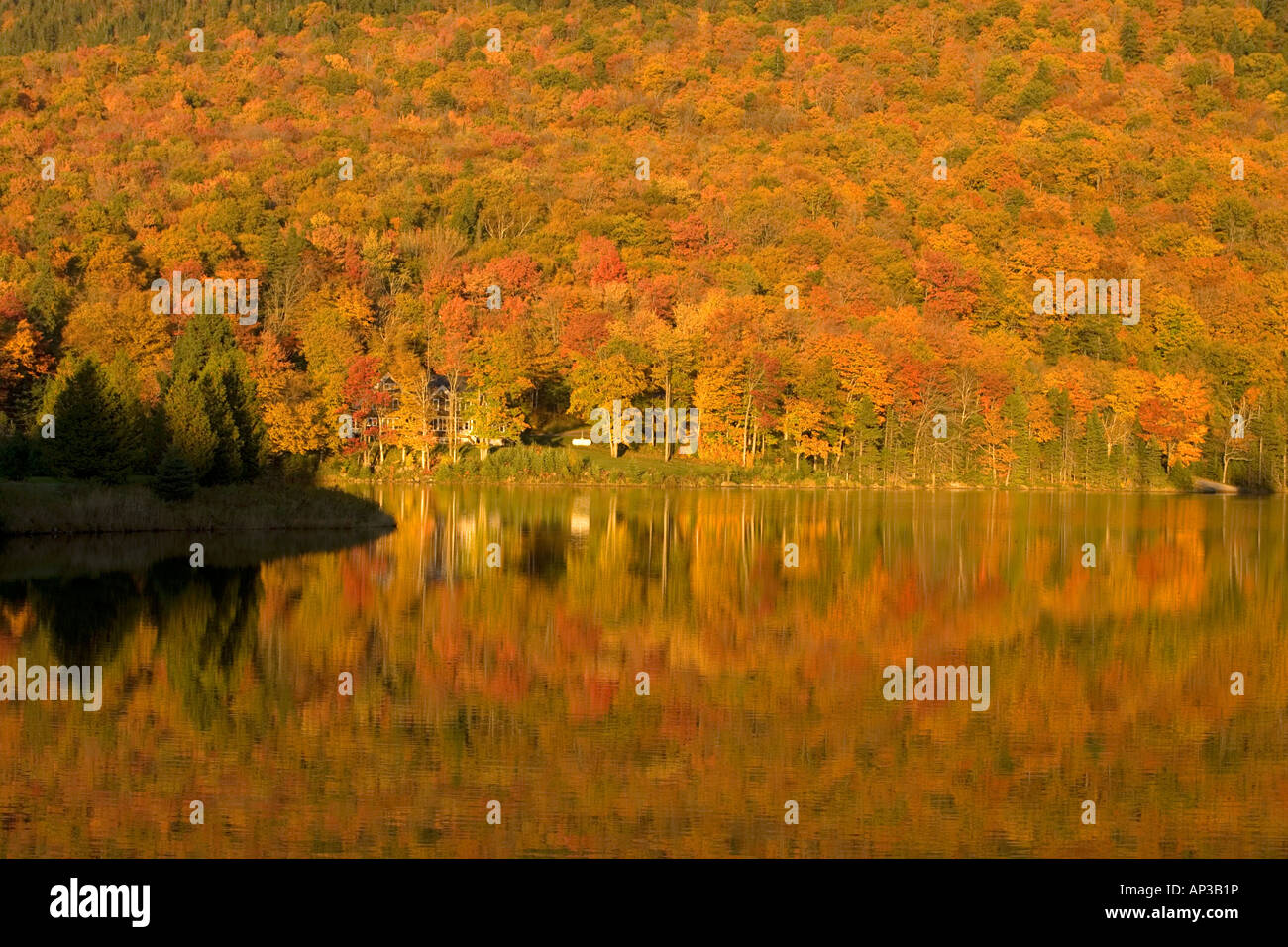 Reflection in a lake at Dixville Notch in autumn, New Hampshire, USA Stock Photo