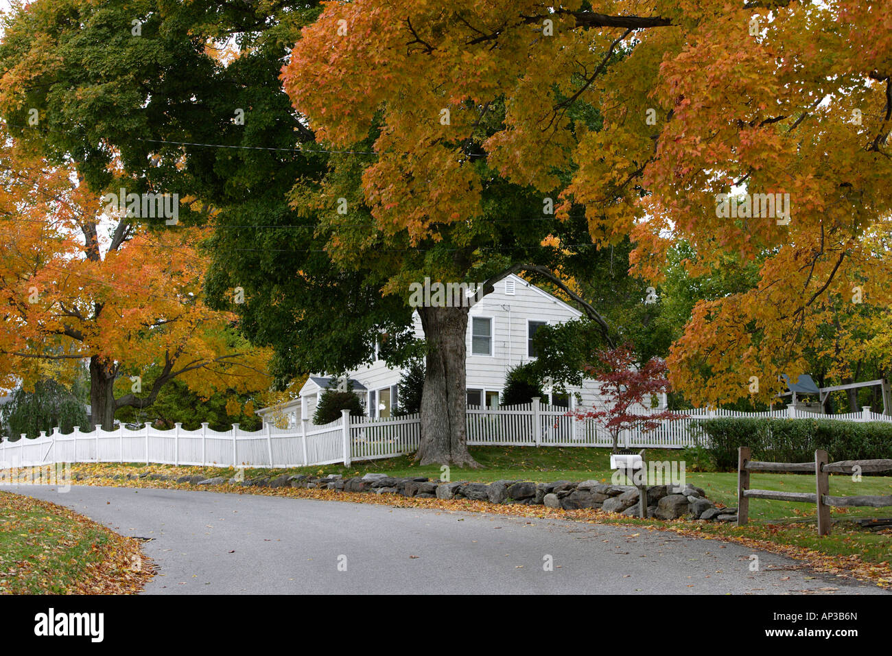 Preston Ct