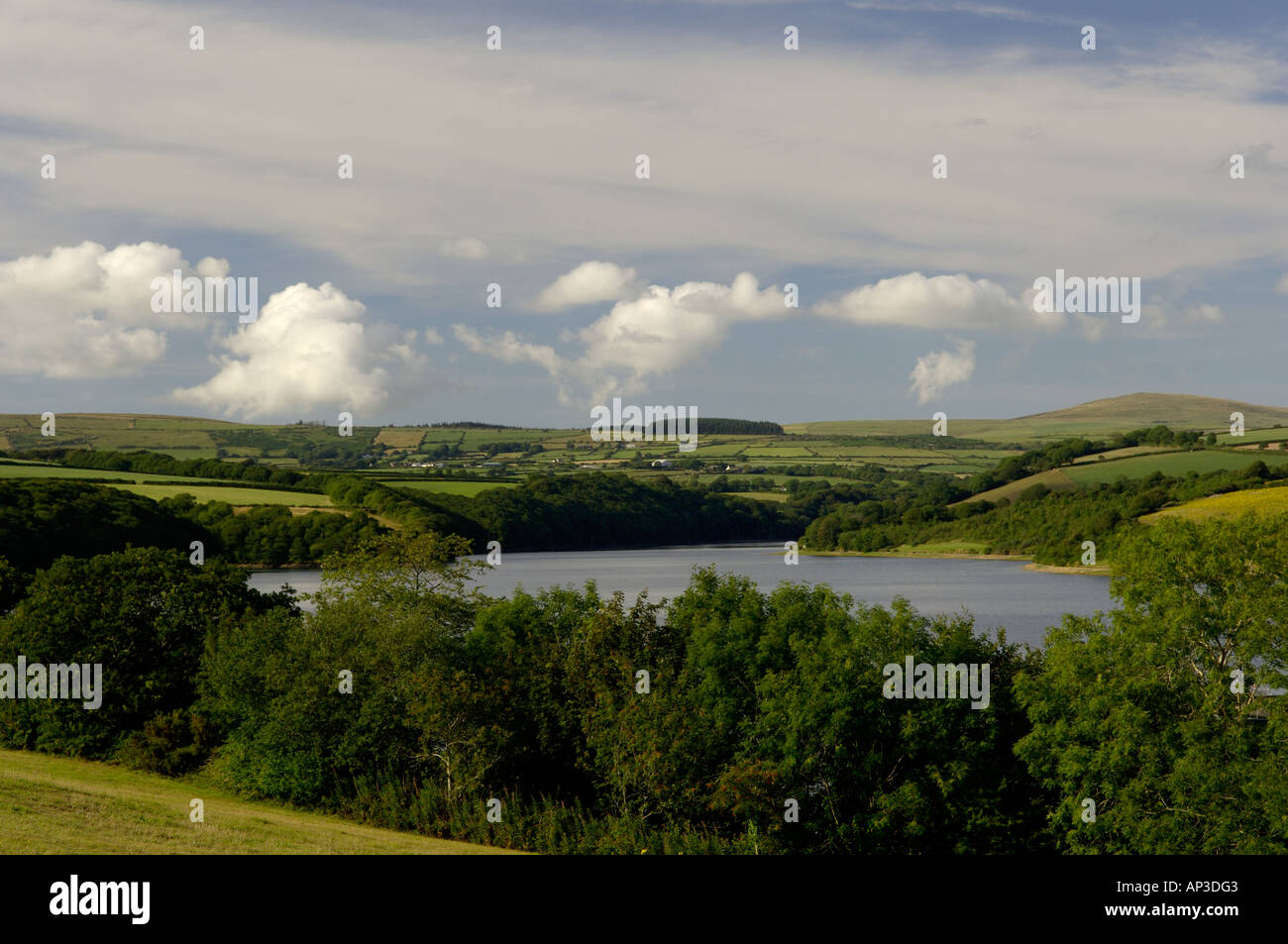 The Llys y Frân Reservoir Country Park Pembrokeshire Wales UK Stock Photo