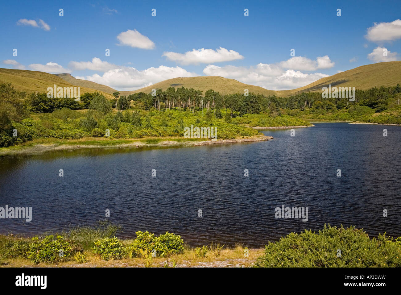 Lower Neuadd Reservoir, Brecon Beacons National Park, Powys, South