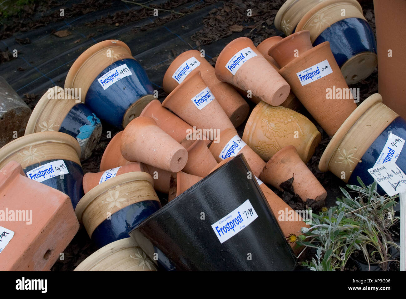 Frostproof garden pots for sale Stock Photo Alamy