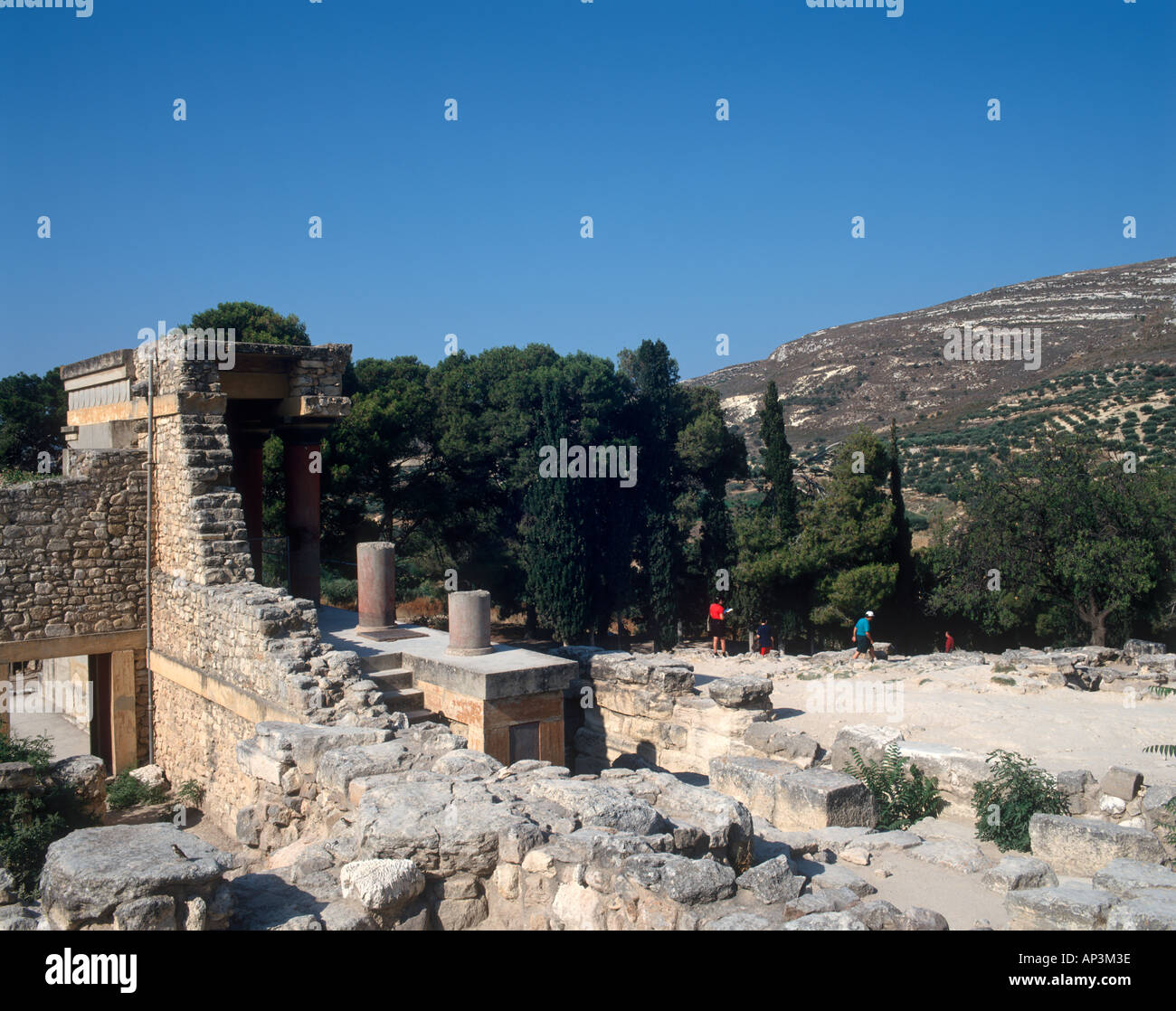 My Image 6
