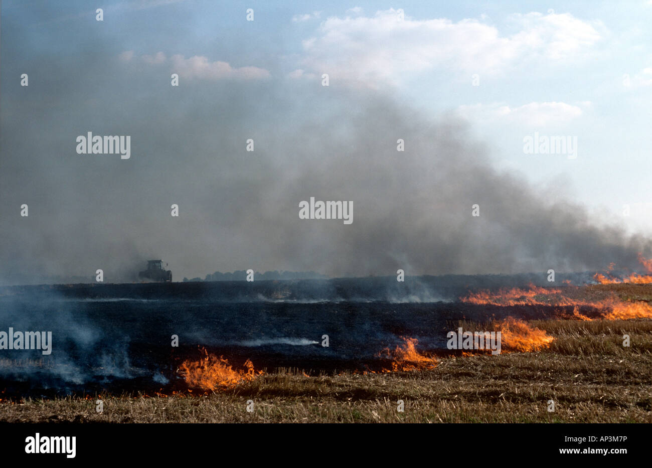 Farmer burning off stubble Stock Photo Alamy