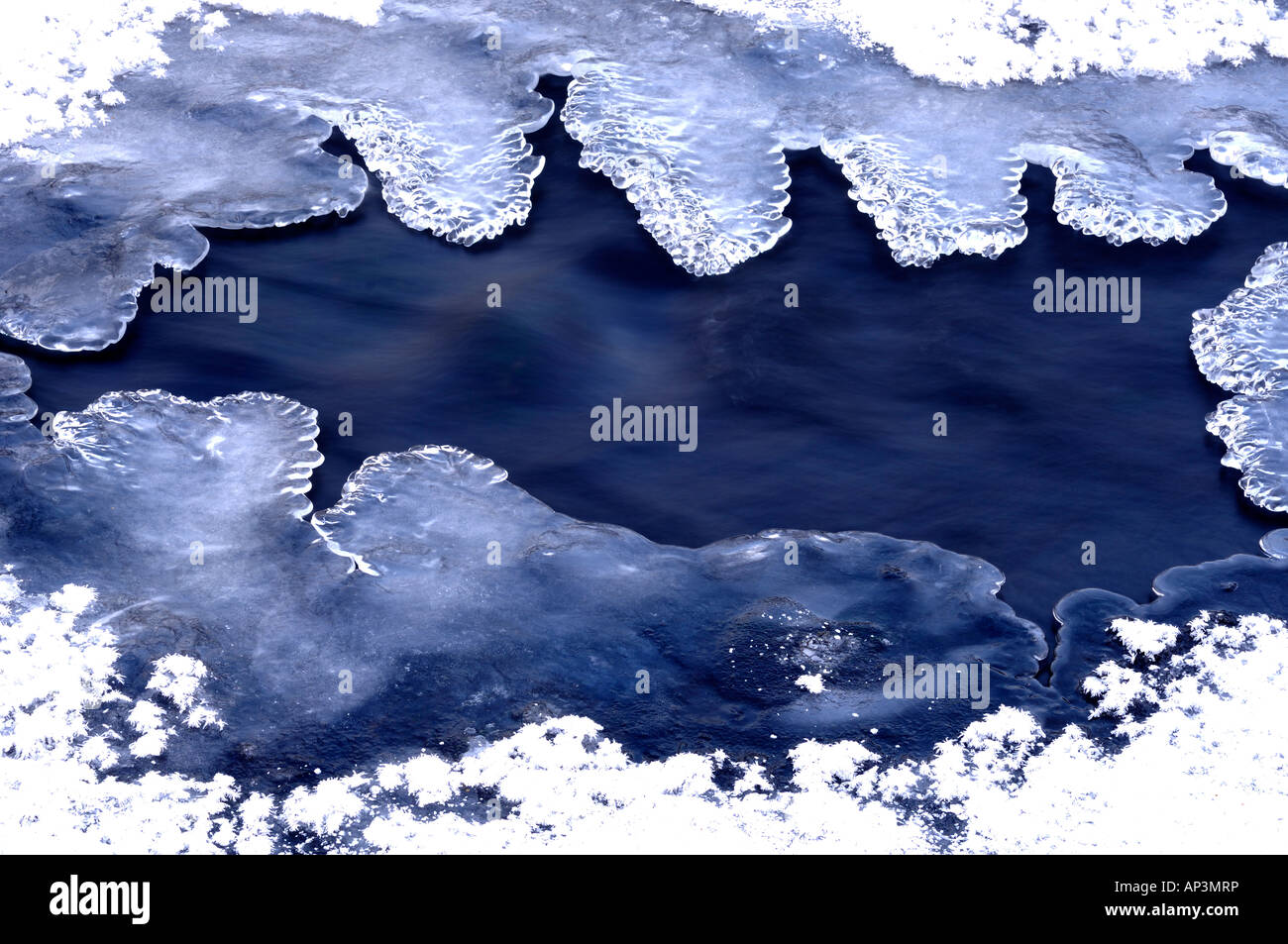 Close up frozen nature in hi-res stock photography and images - Alamy