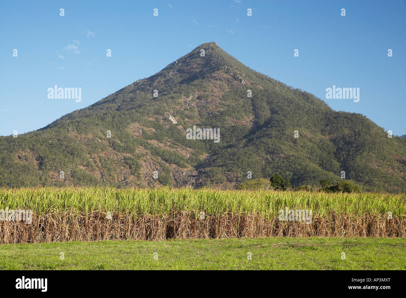 Gordonvale Pyramid High Resolution Stock Photography And Images Alamy Gordonvale Pyramid High Resolution Stock Photography And Images Alamy