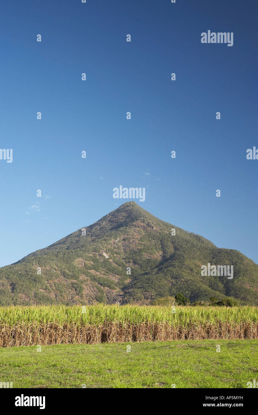 Sugar Cane Fields And Walshs Pyramid Gordonvale Near Cairns North Queensland Australia Stock Photo Alamy