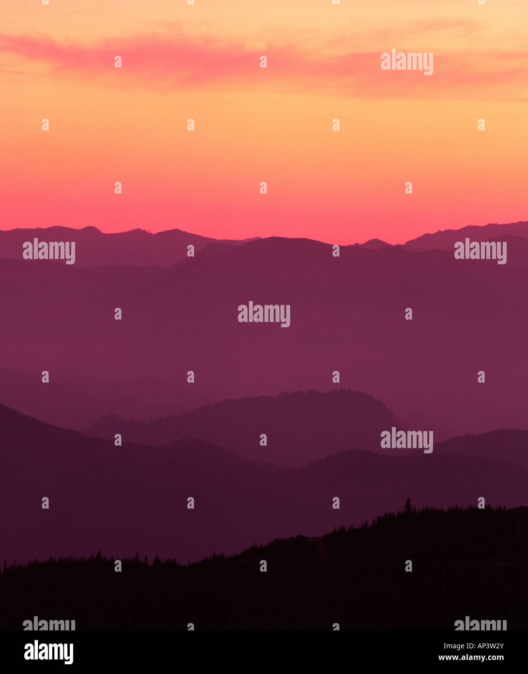 Mountains at the mount rainier national park Stock Photo Alamy