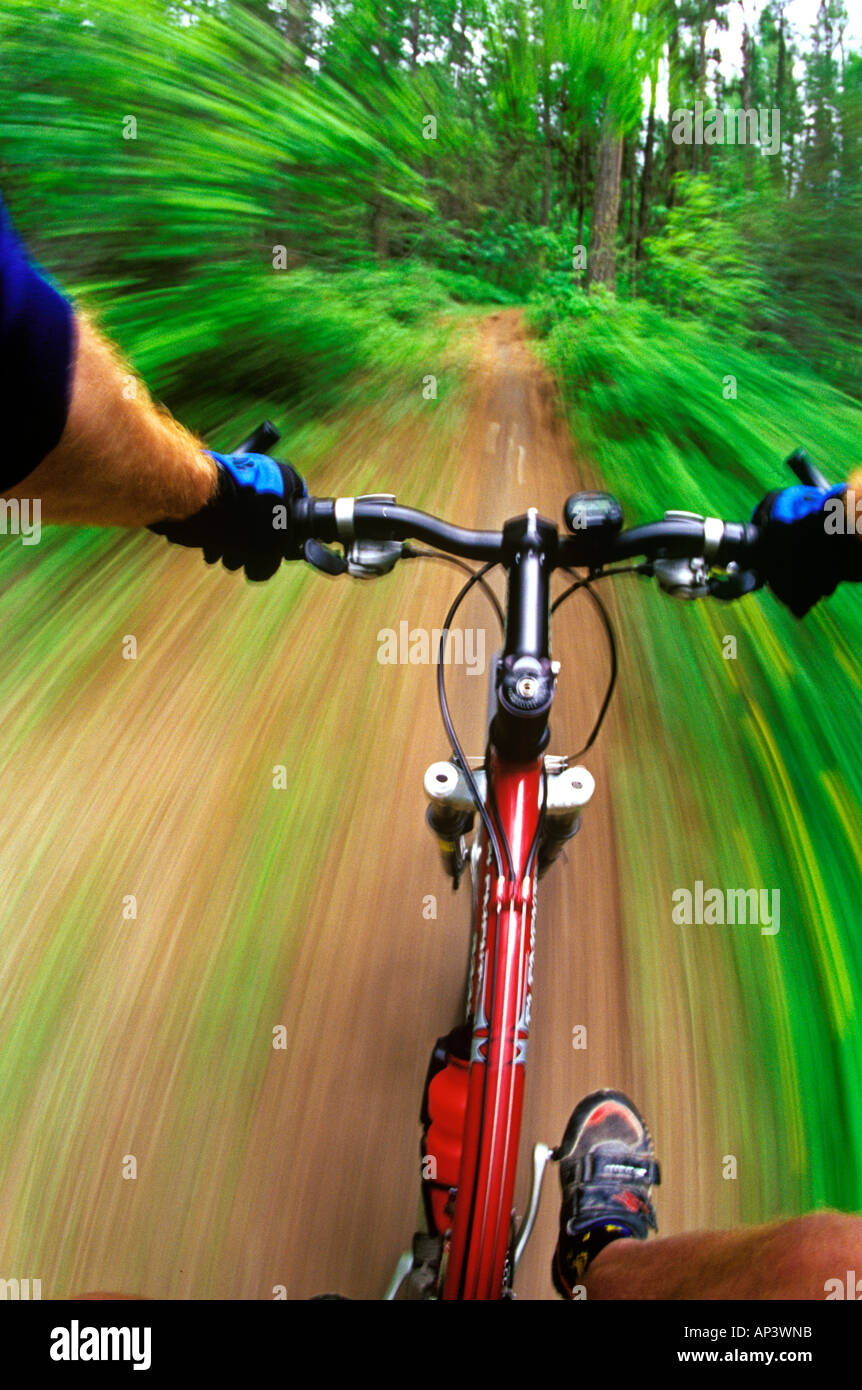 Riders perspective of mountain bike trail riding (MR Stock Photo - Alamy