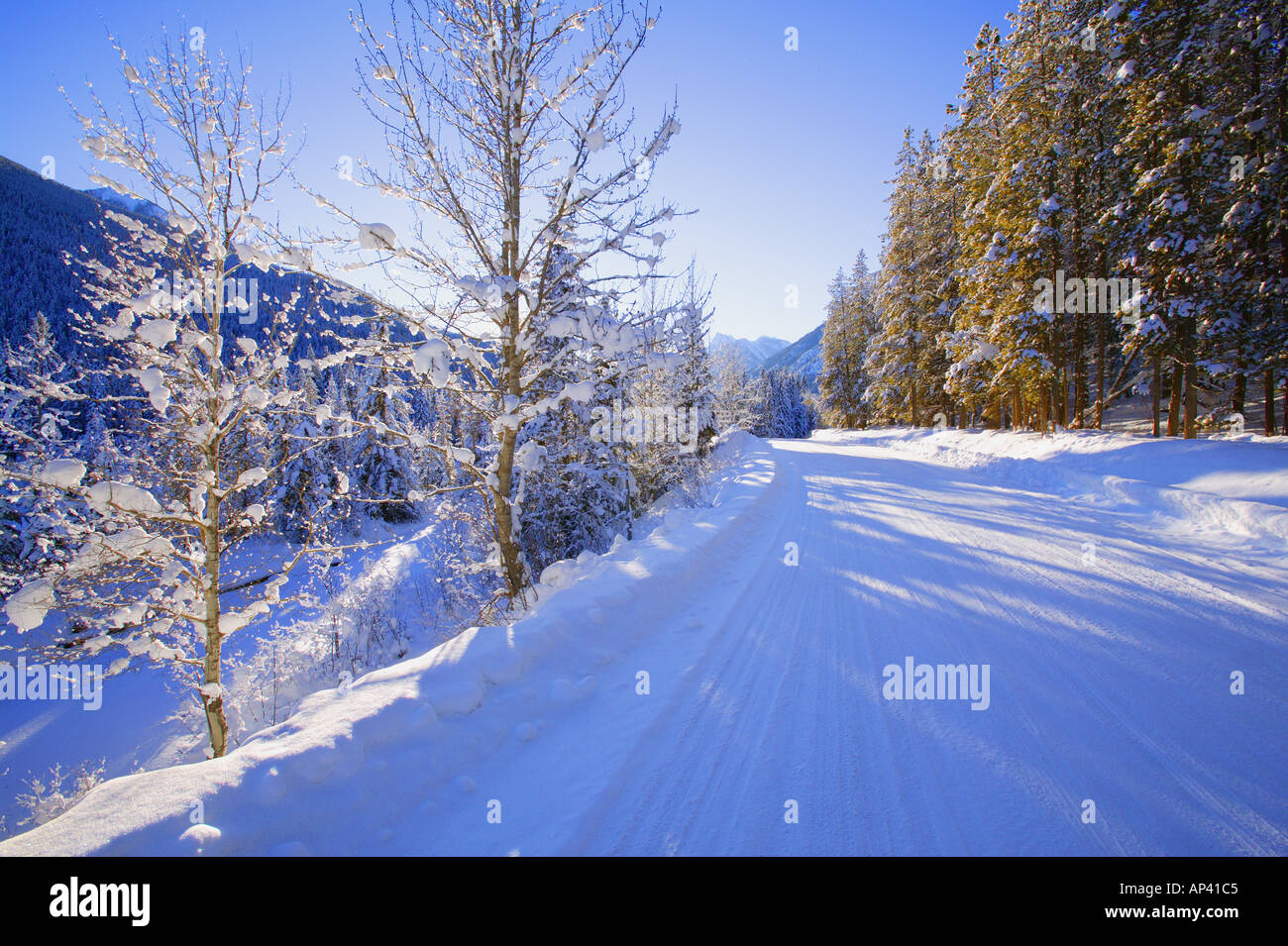 Winter landscape snowy trees hi-res stock photography and images - Alamy