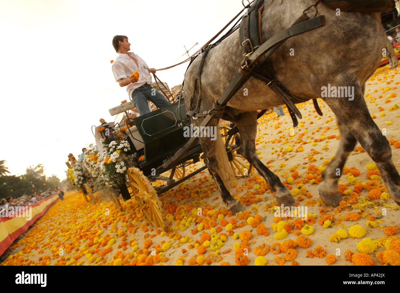 Batalla de flores hires stock photography and images Alamy