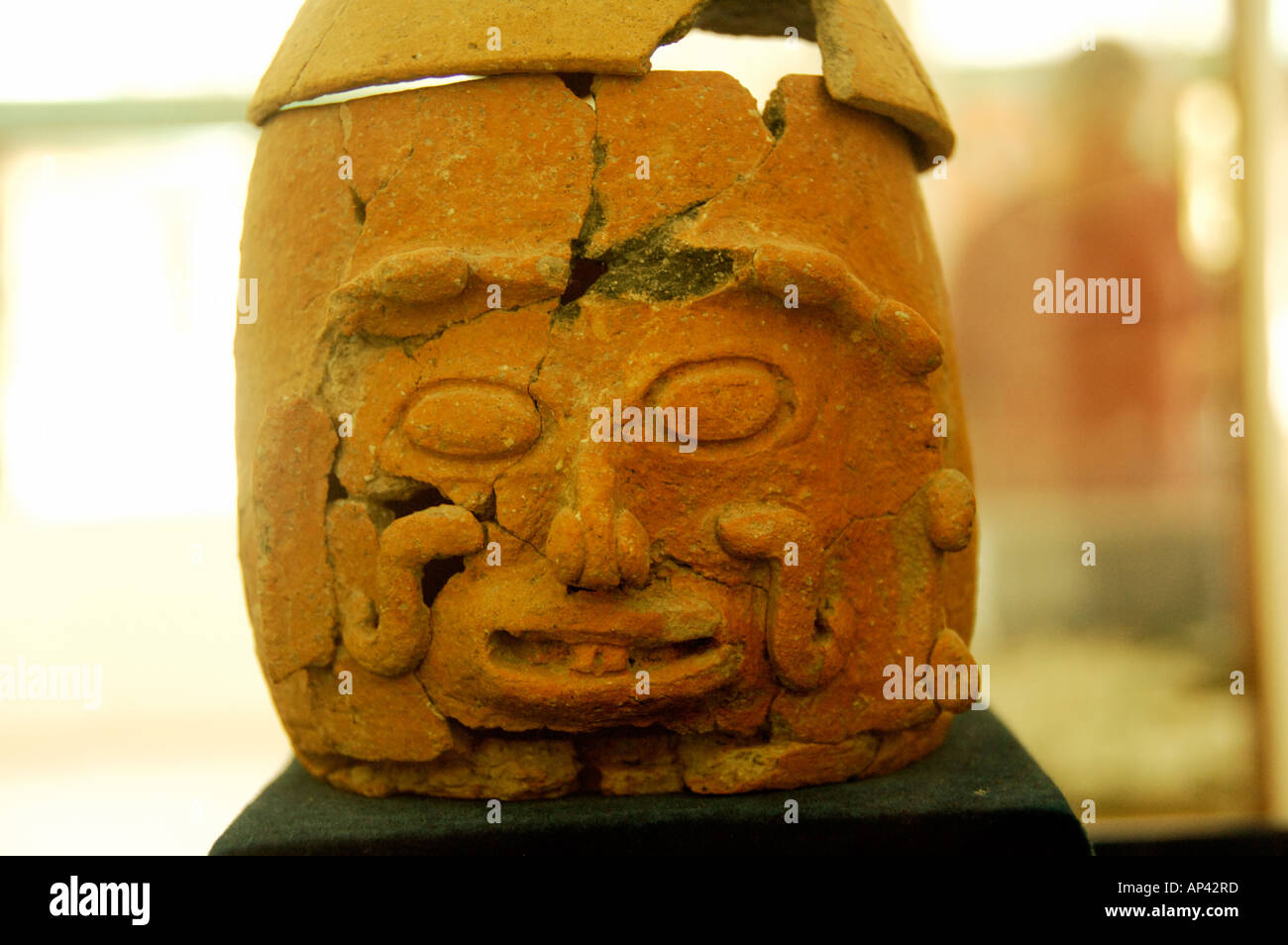 Central America, Belize, Chiquibul Forest Reserve, Caracol. Caracol museum, pottery artifact. Stock Photo