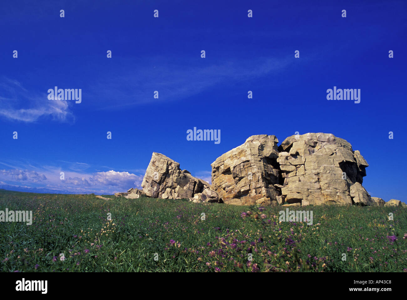 Large rock formation in grassy field Stock Photo - Alamy