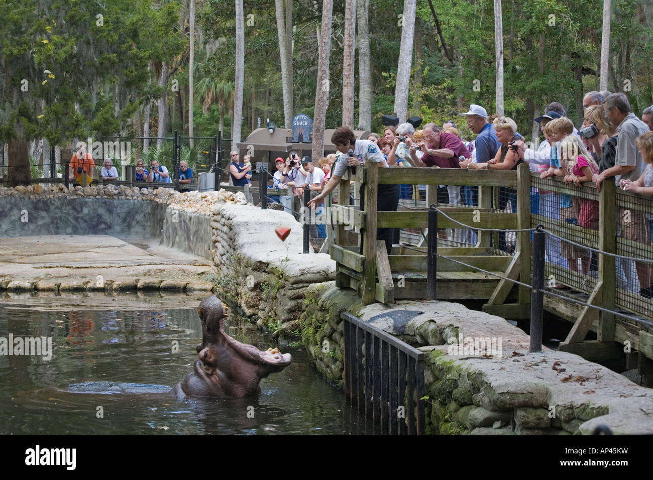 Homosassa Springs Wildlife Park Homosassa Florida Stock Photo Alamy