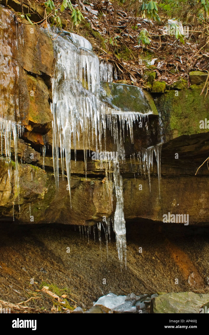 ice, dripping water, rocks, moss Stock Photo Alamy