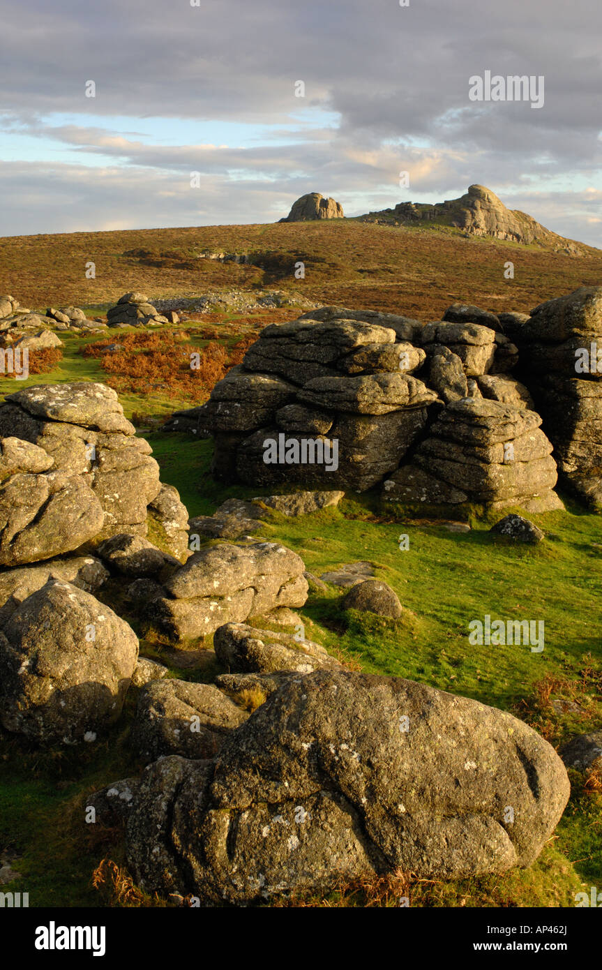 haytor-rocks-in-dartmoor-national-park-devon-england-stock-photo-alamy