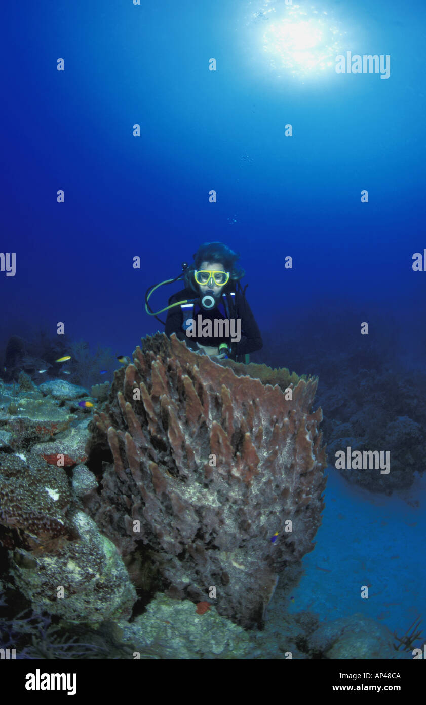 Deep sea diving female hi-res stock photography and images - Alamy