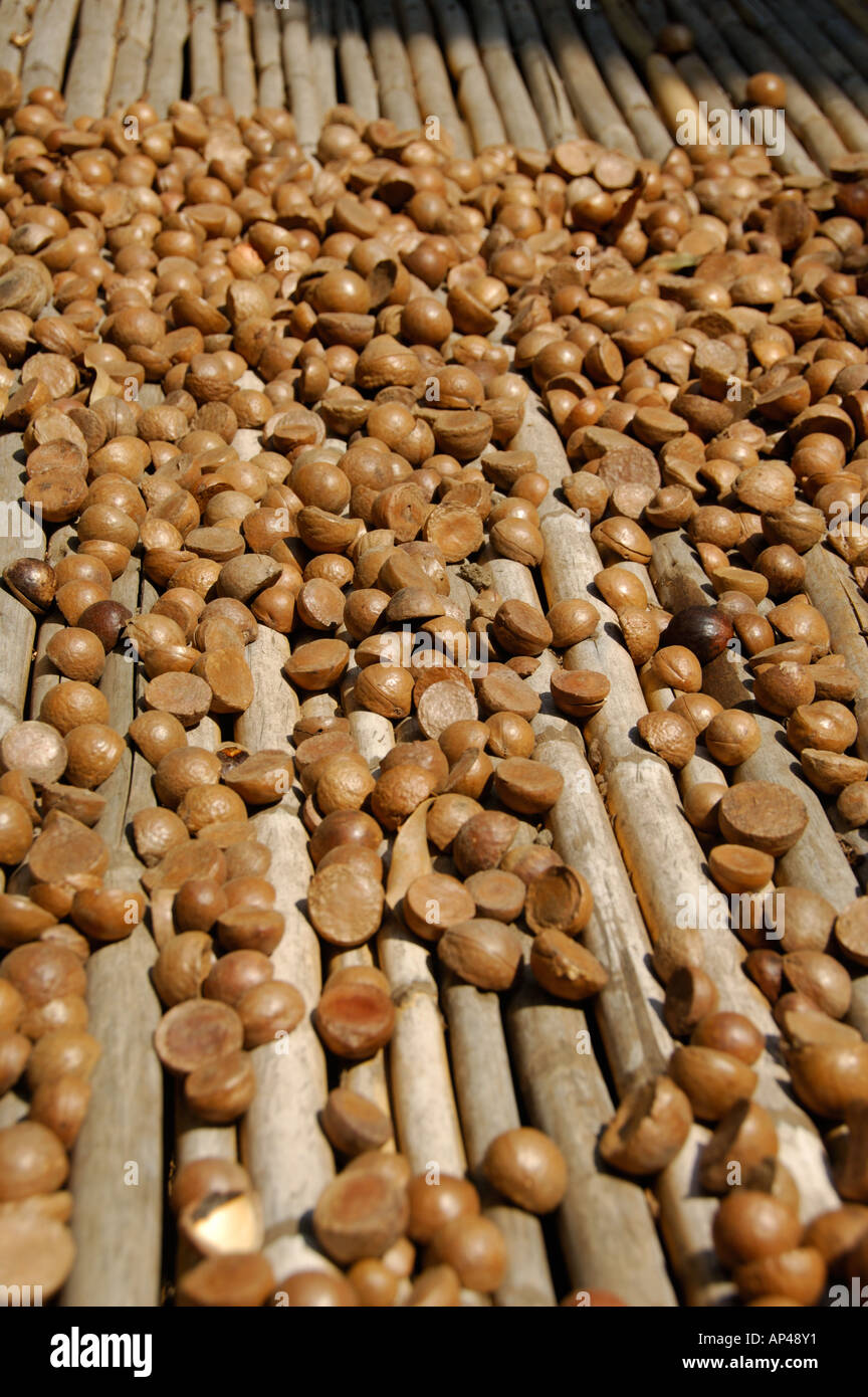 Central America, Guatemala, San Miguel Duenas (located outside Antigua