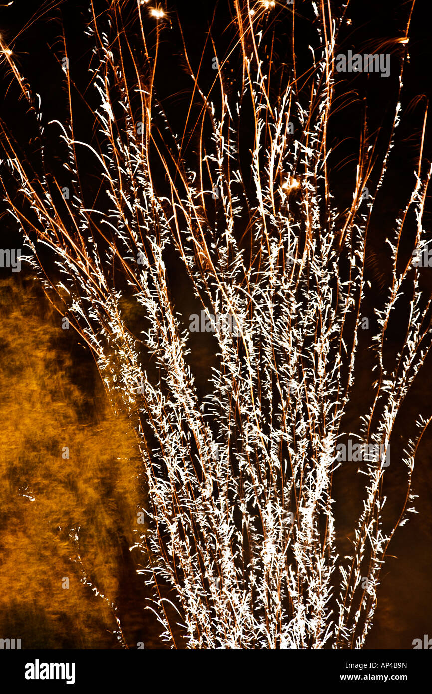 PATTERN OF LIGHTS CREATED BY FIREWORK MATCHING SHAPE OF TREE Stock Photo