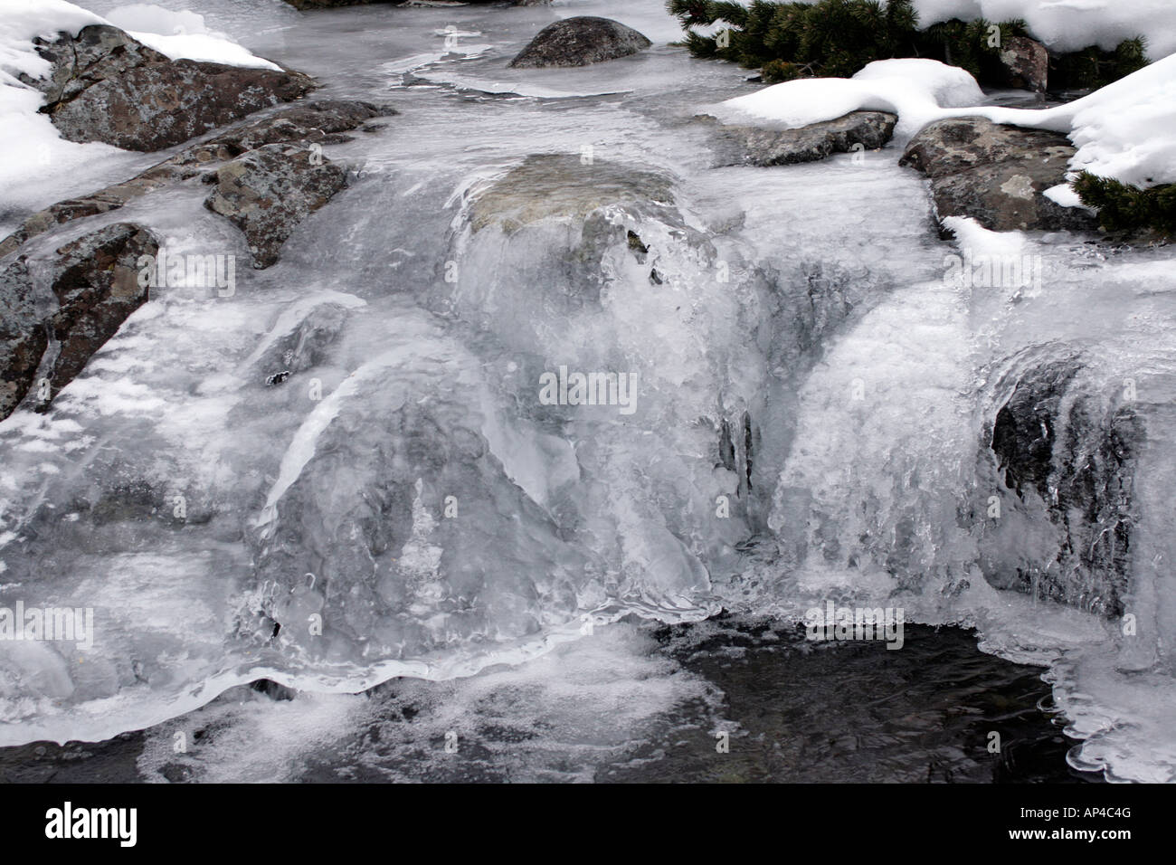 Scrub wilderness daytime tatra tatras national park hi-res stock ...