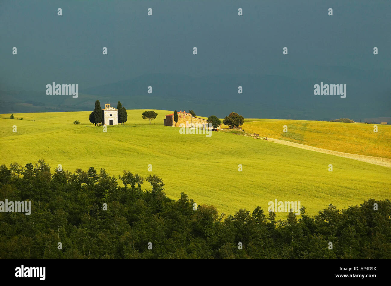 Tuscany landscape with chapel and farmhouse  with sunlight falling on the undulating fields against a dark, foreboding  backdrop Stock Photo