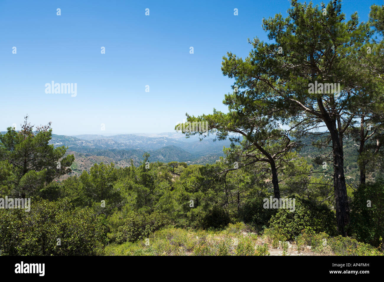 Typical view, Kokkini, Troodos Mountains, Cyprus Stock Photo