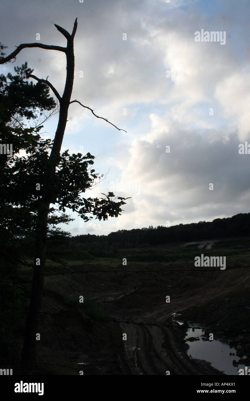 Hamburg forest cloud hi-res stock photography and images - Alamy
