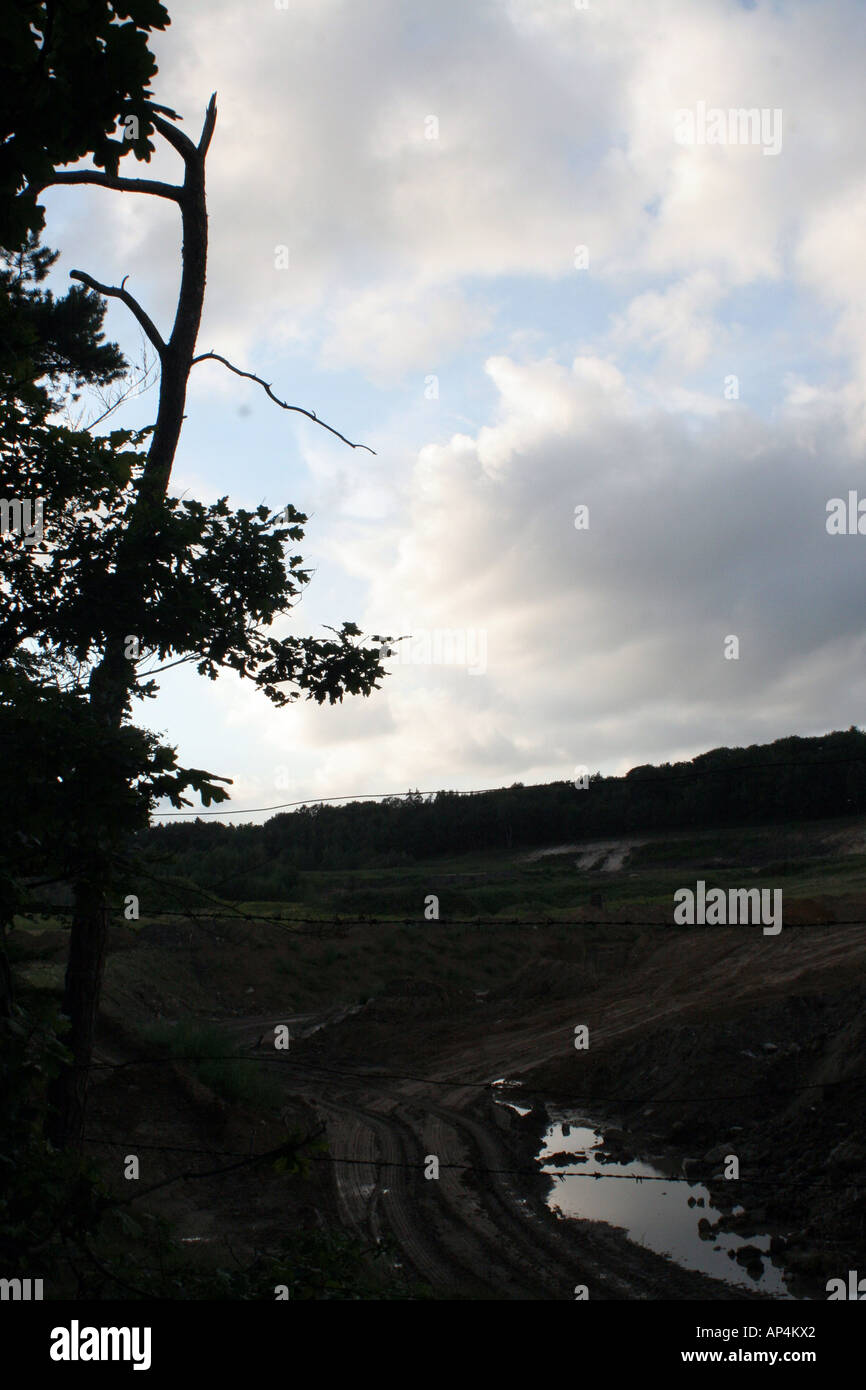 Hamburg dark forest hi-res stock photography and images - Alamy