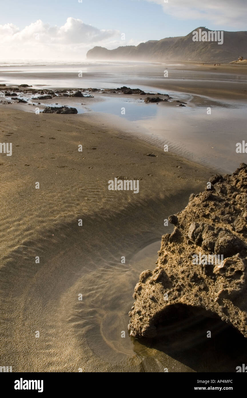 Piha Beach One of the famous black sand beaches on Aucklands west coast Stock Photo Alamy