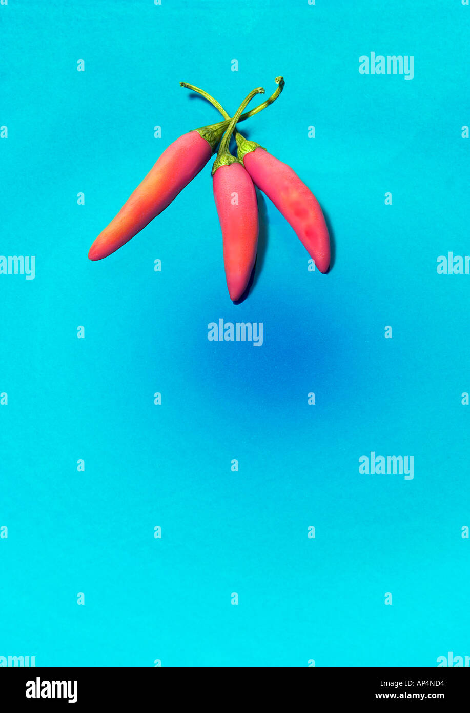 Red Chile Peppers Stock Photo Alamy