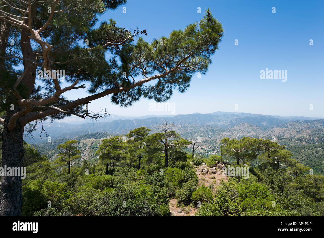 Typical view, Kokkini, Troodos Mountains, Cyprus Stock Photo