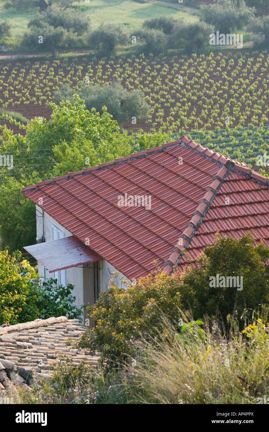 Greece, Ionian Islands, Kefalonia, Troianata: Farm View Stock Photo - Alamy