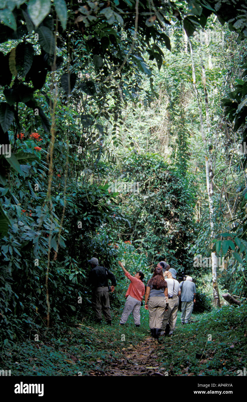 Central America, Panama, Cana, Darien National Park. Runway trail Stock Photo