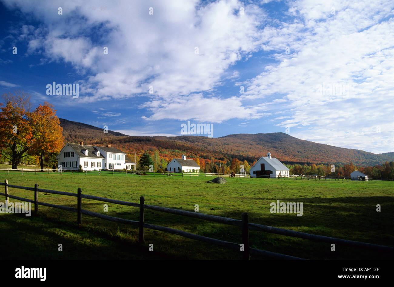 Horse farm near Roxbury Vermont  Stock Photo